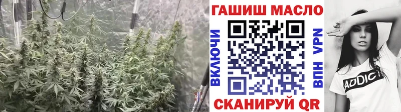 закладка  Нальчик  ТГК гашишное масло 
