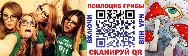 площадка какой сайт  Нальчик  Галлюциногенные грибы мухоморы 
